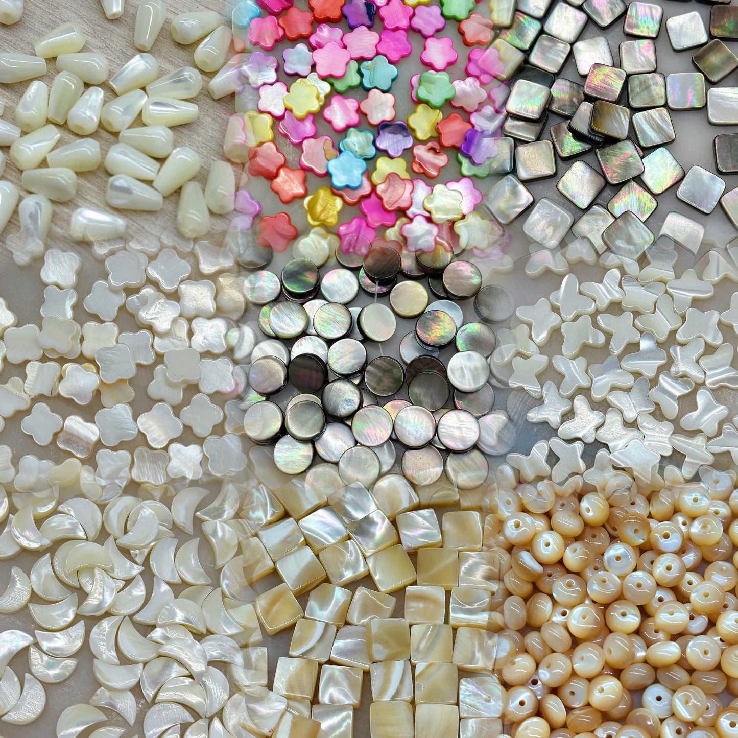 sea shell beads