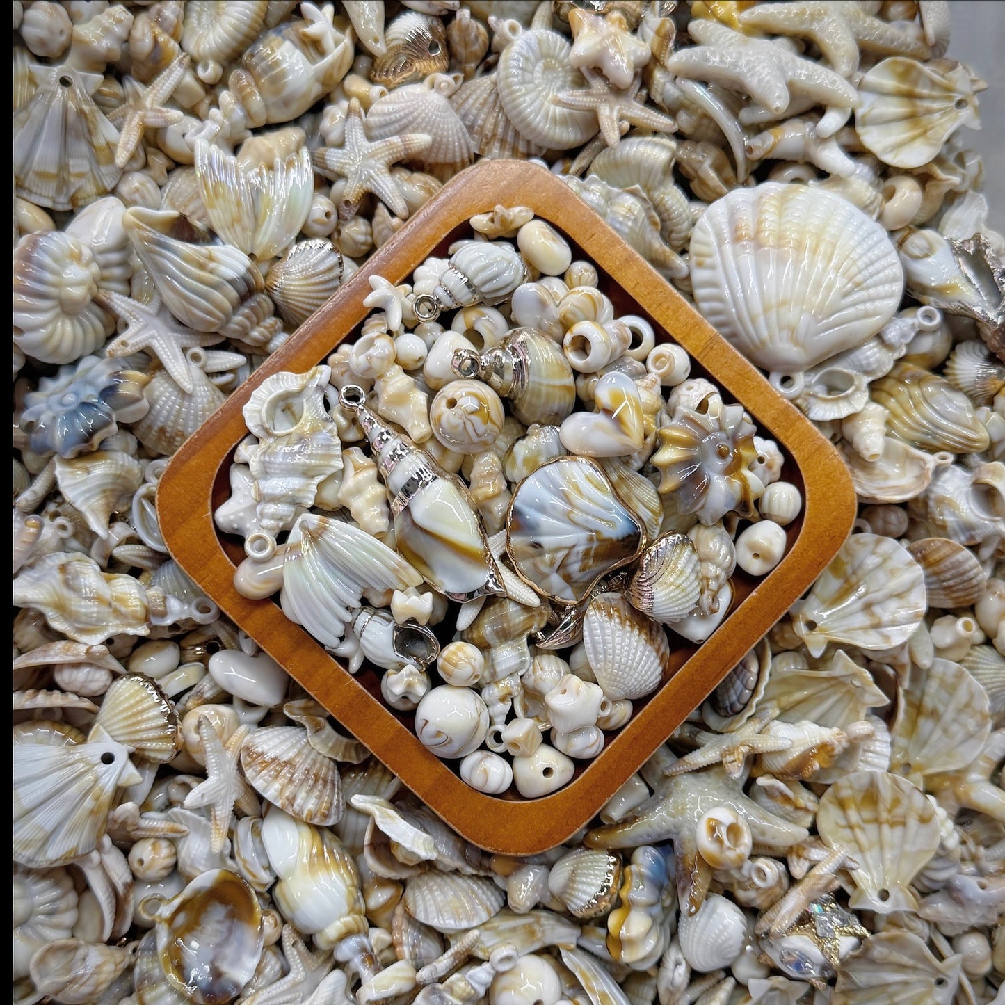 【NEW】Seaside Treasures Acrylic Beads