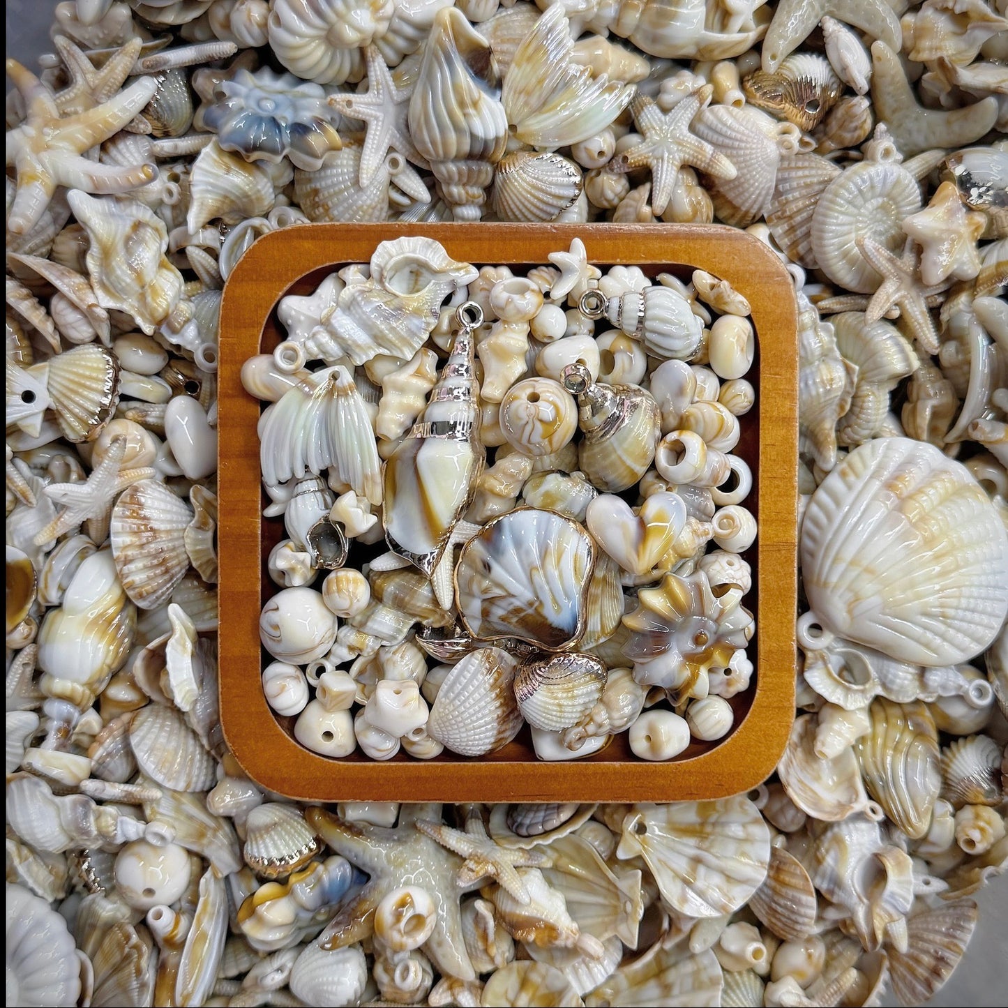 【NEW】Seaside Treasures Acrylic Beads