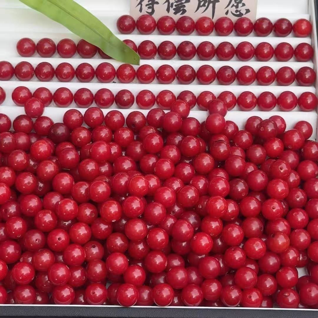 [NEW] H48-11.5mm Rich Red Round Bodhi|for Bracelet & Jewelry DIY making